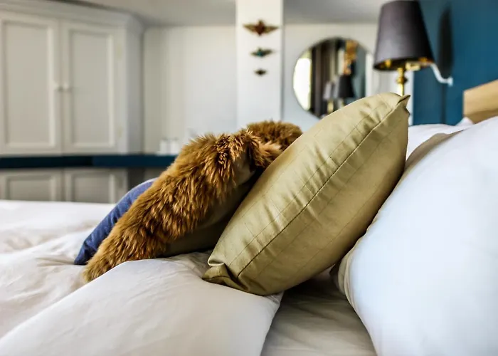 Hotel Tariq Boutique